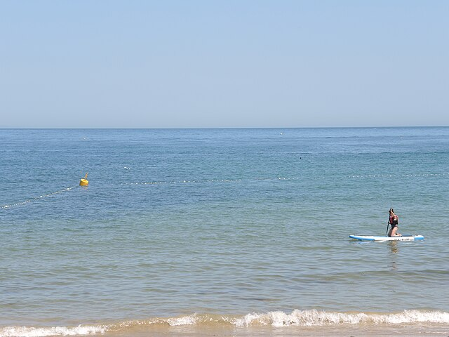 sea paddleboard paddleboarding Neil Owen via Wikimedia Commons