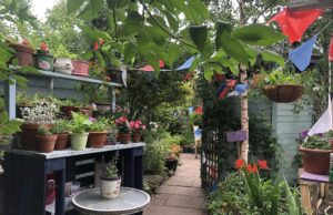 Lovaine Community Garden: brightening up Shields’s streets since 2010 and how you can get involved