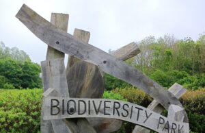 Something for the weekend: Silverlink Park Local Nature Reserve