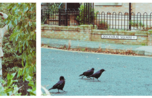 Dockwray Square North Shields