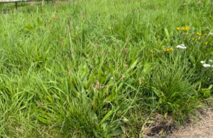 In Response: Meet Steven C. Gull