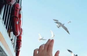 In response to: To Wave or Not To Wave (Image credit: Afitab via Pexels) to wave