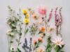 Linskill Nursery’s Wild Garden: A Natural Wonderland for Little Explorers
