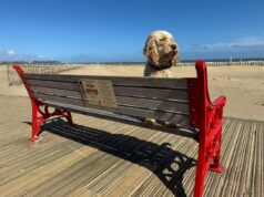 The Red Bench Project The Red Bench Project