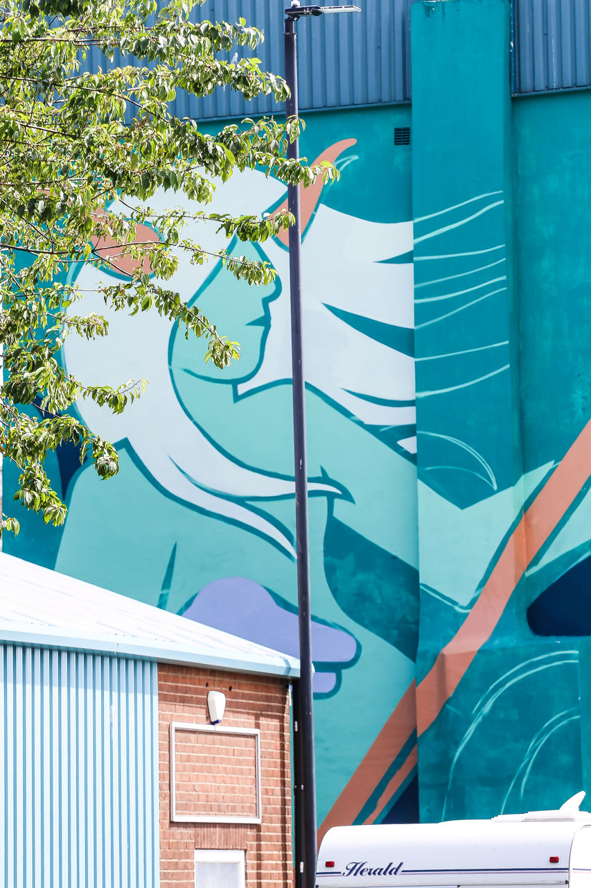 Oceanus - KMG's wall mural for Elevation 6 Oceanus by KMG work in progress, 55° Fisheries Building. Photo by Wayne Bordoli