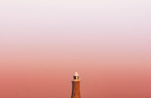 From Photowalk to Gallery Walls: I Love North Shields Hosts Debut Exhibition rachel_riley_photography