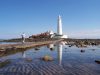 Walk: Coast Exterior of St Mary's Island showing the white lighthouse and surrounding sea/rocks