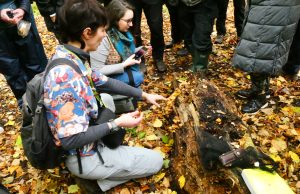 Mushroom Meander with the Natural History Society of Northumbria