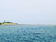 POETRY: By the Low Lights