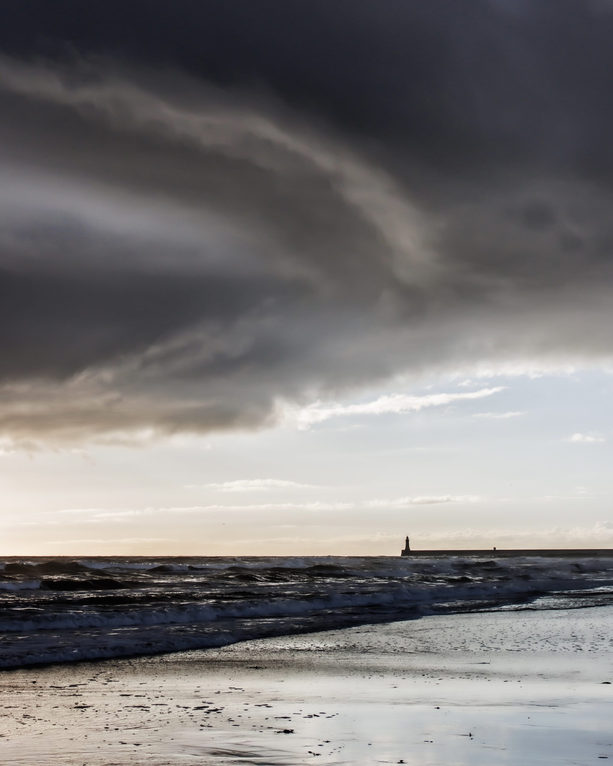 By Rachel Riley